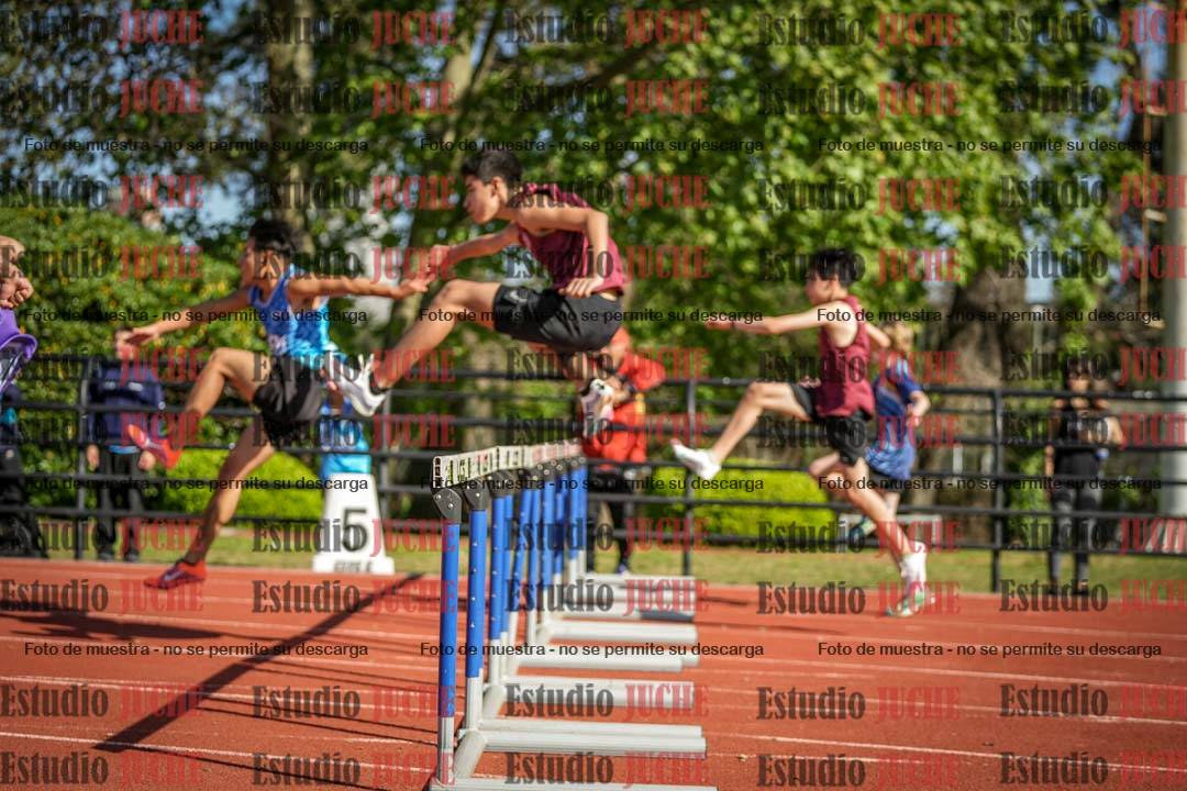 Fotos de los 110 m con vallas de varones