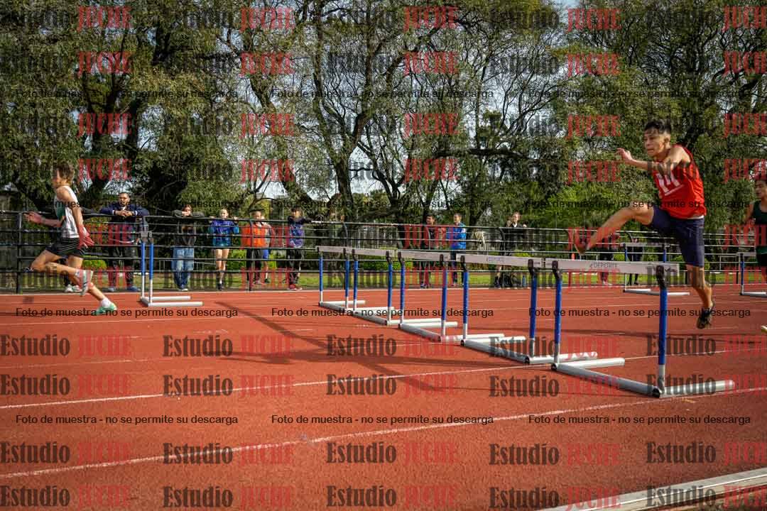 Fotos de los 110 m con vallas de varones