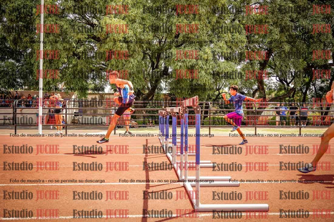 Fotos de los 110 m con vallas de varones