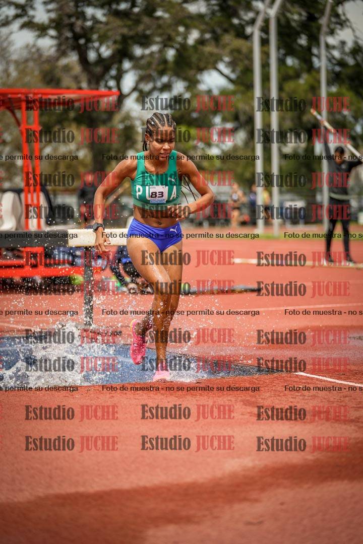 Fotos de los 2000 m con obstáculos de mujeres