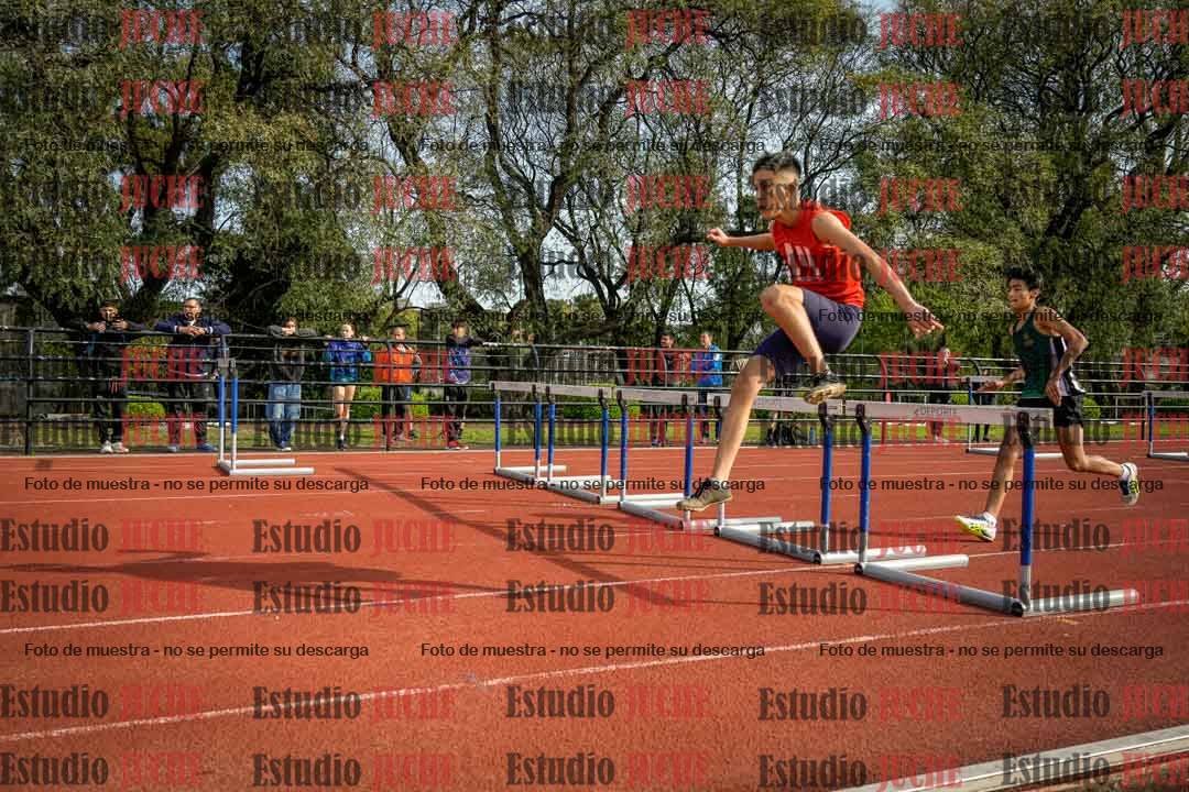 Fotos de los 110 m con vallas de varones