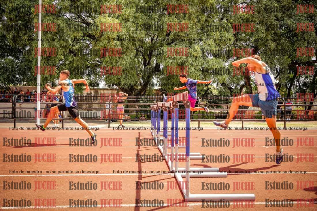 Fotos de los 110 m con vallas de varones