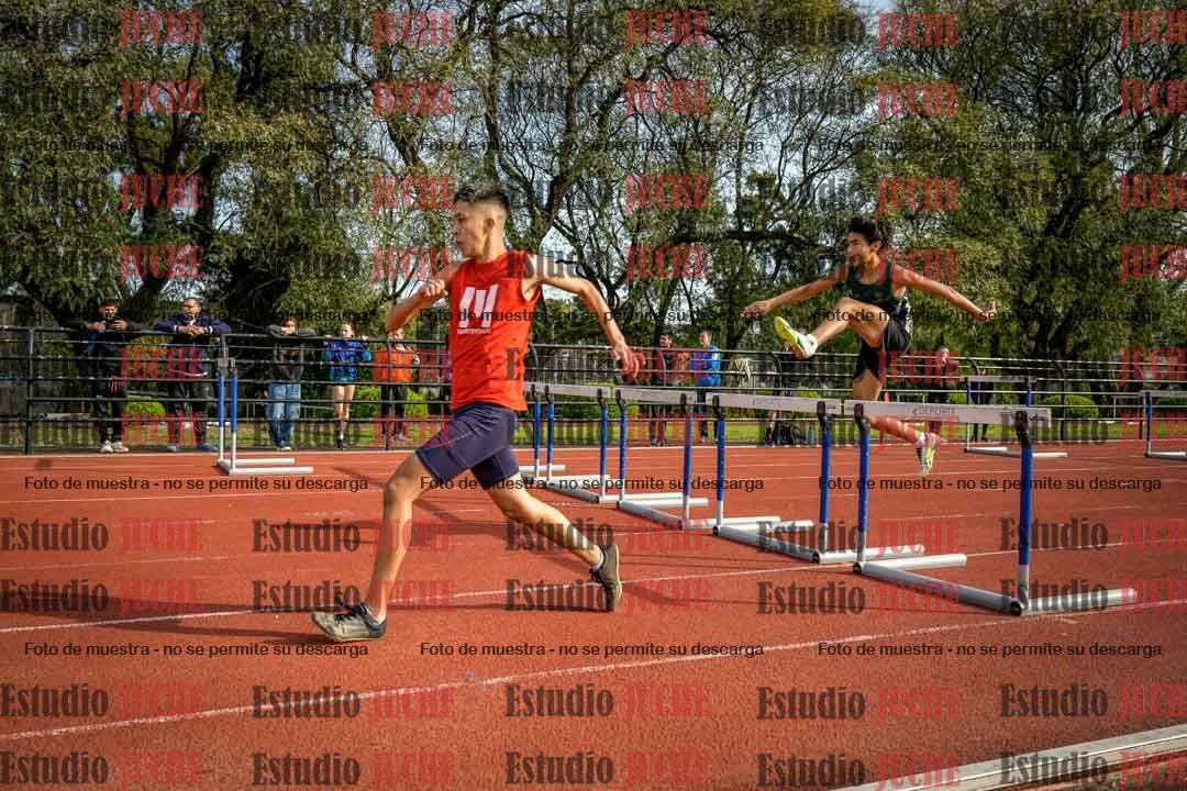 Fotos de los 110 m con vallas de varones