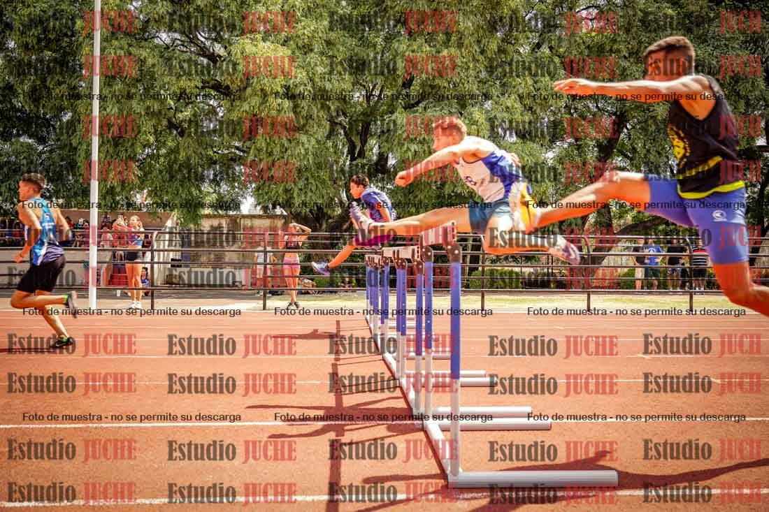Fotos de los 110 m con vallas de varones