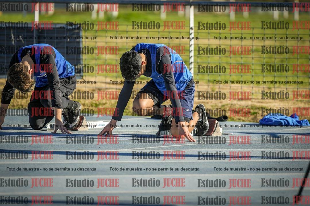 Fotos de los 110 m con vallas de varones