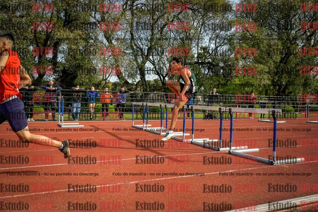 Fotos de los 110 m con vallas de varones