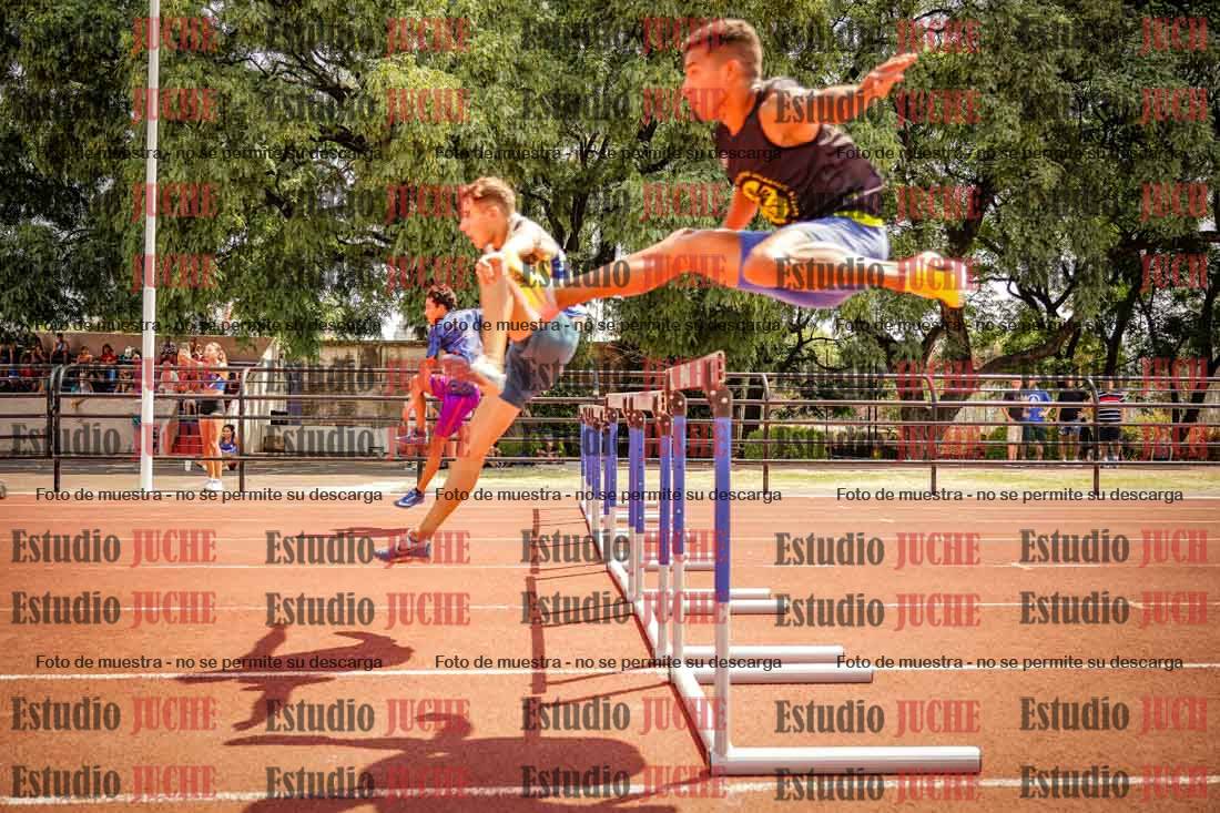 Fotos de los 110 m con vallas de varones