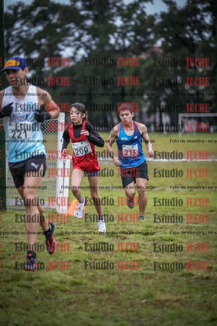Fotos en el circuito