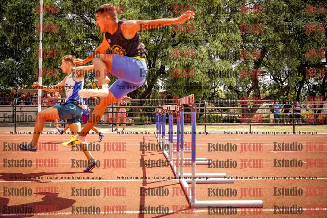 Fotos de los 110 m con vallas de varones
