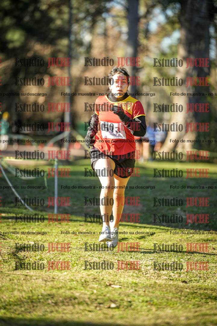 Fotos en el tercer punto del circuito