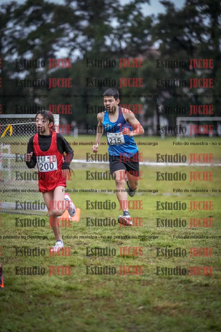Fotos en el circuito