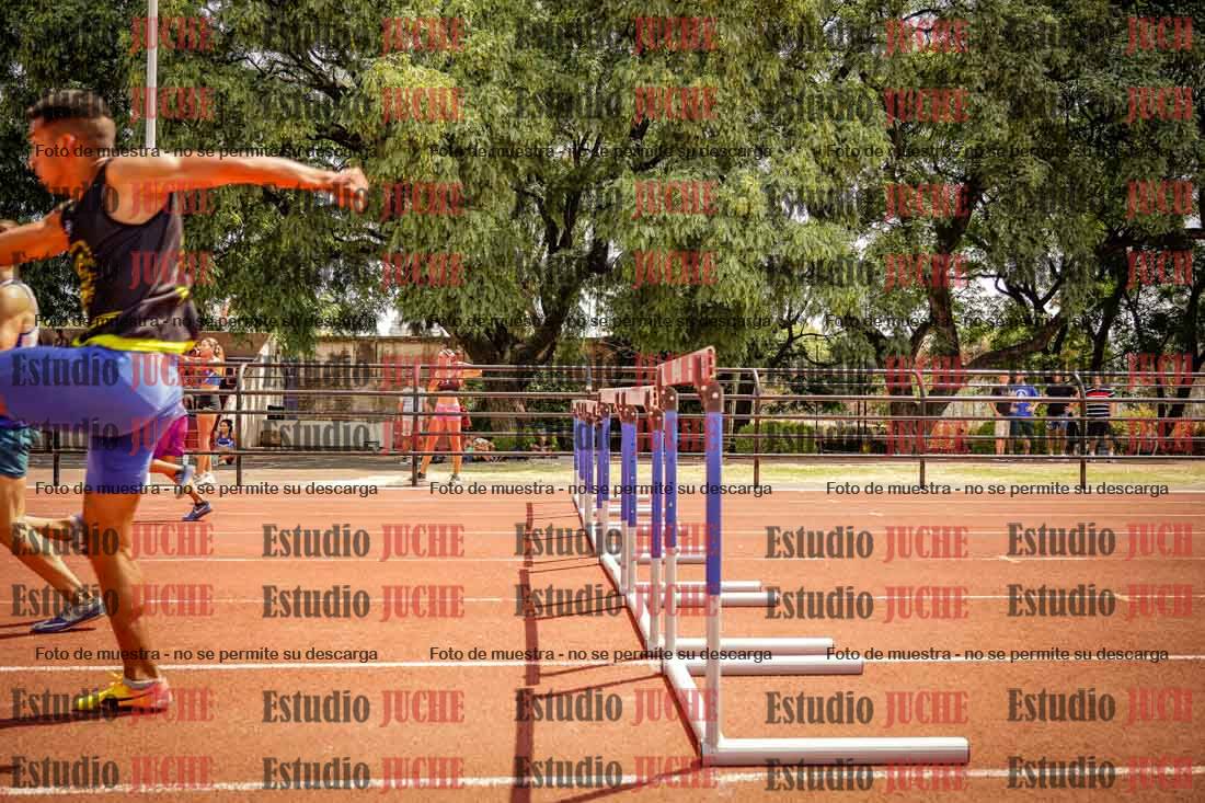 Fotos de los 110 m con vallas de varones