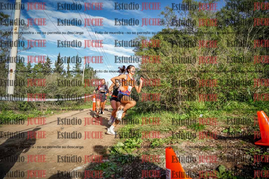 Fotos en el circuito