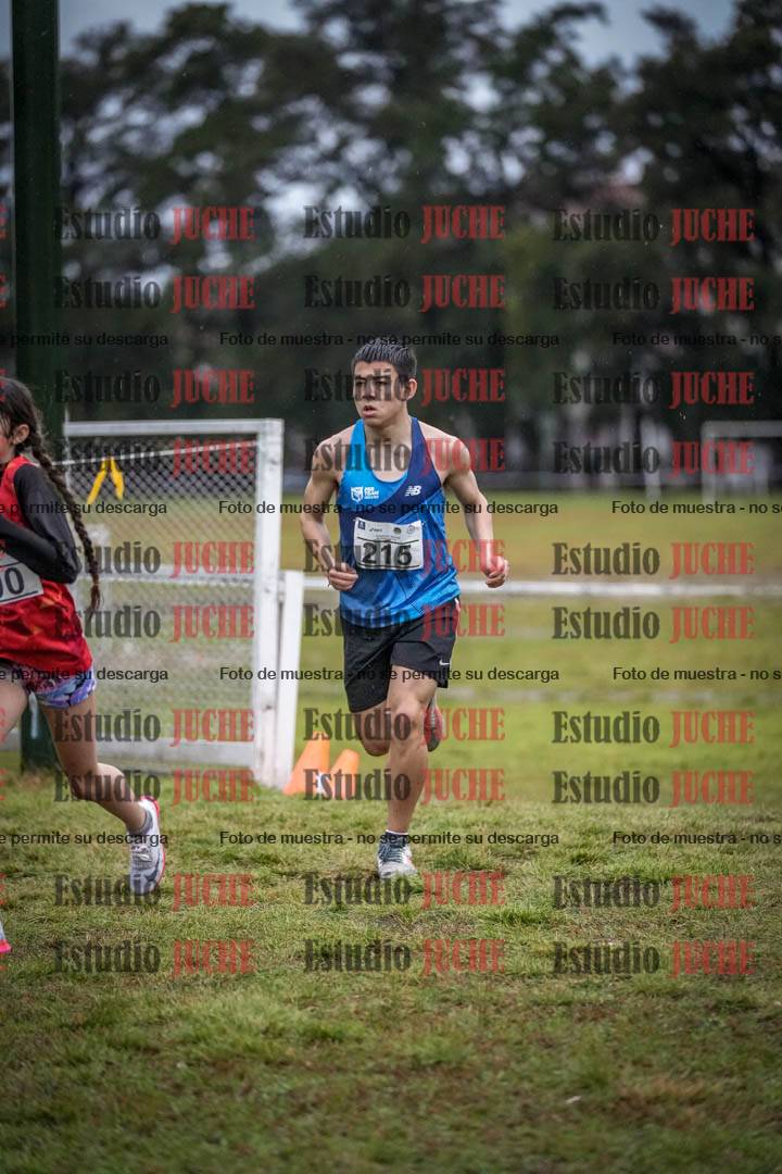 Fotos en el circuito
