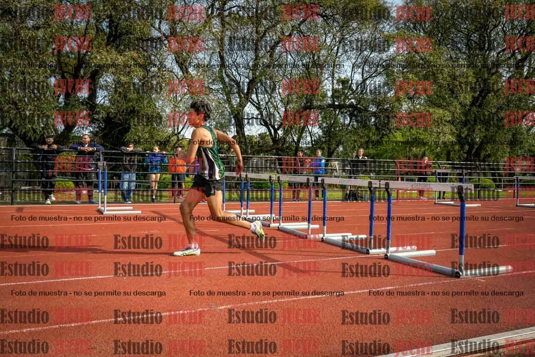 Fotos de los 110 m con vallas de varones