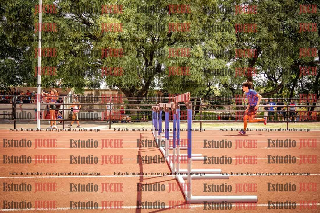 Fotos de los 110 m con vallas de varones