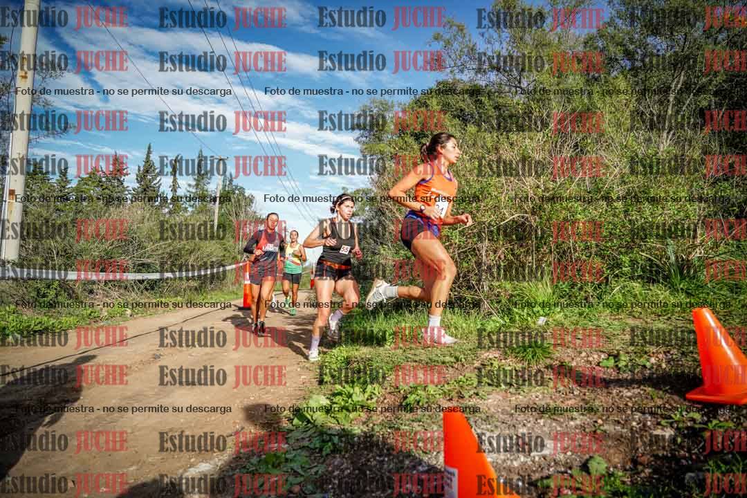 Fotos en el circuito