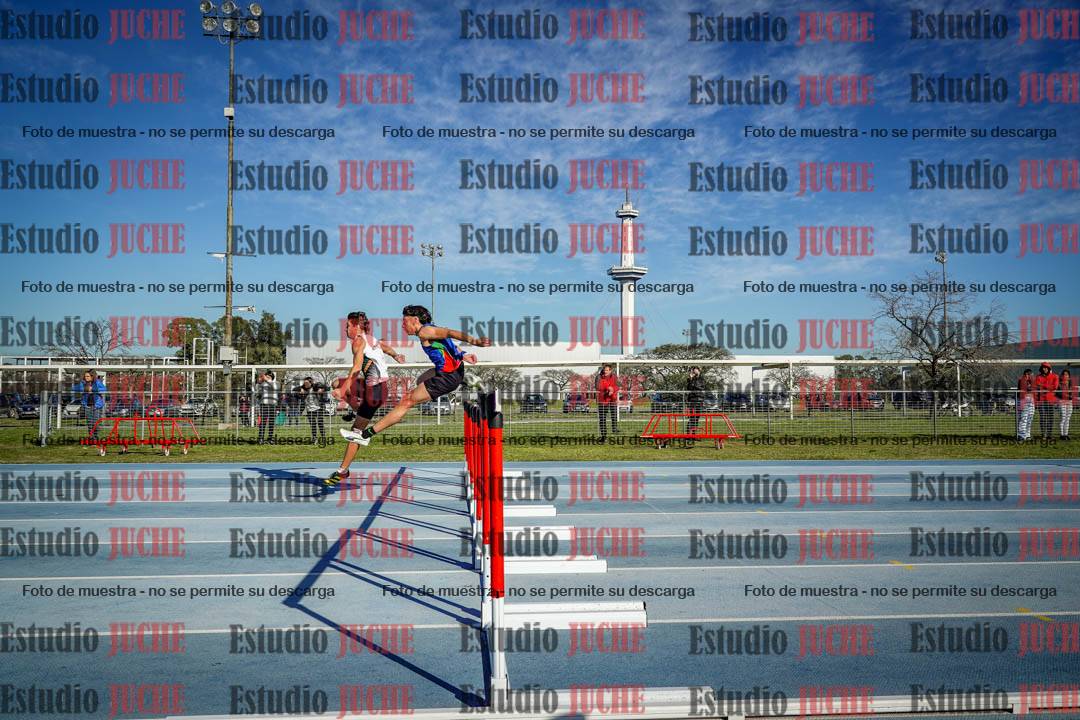 Fotos de los 110 m con vallas de varones