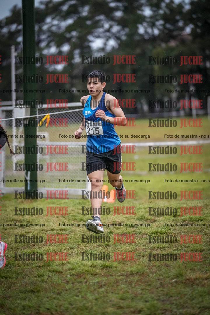 Fotos en el circuito