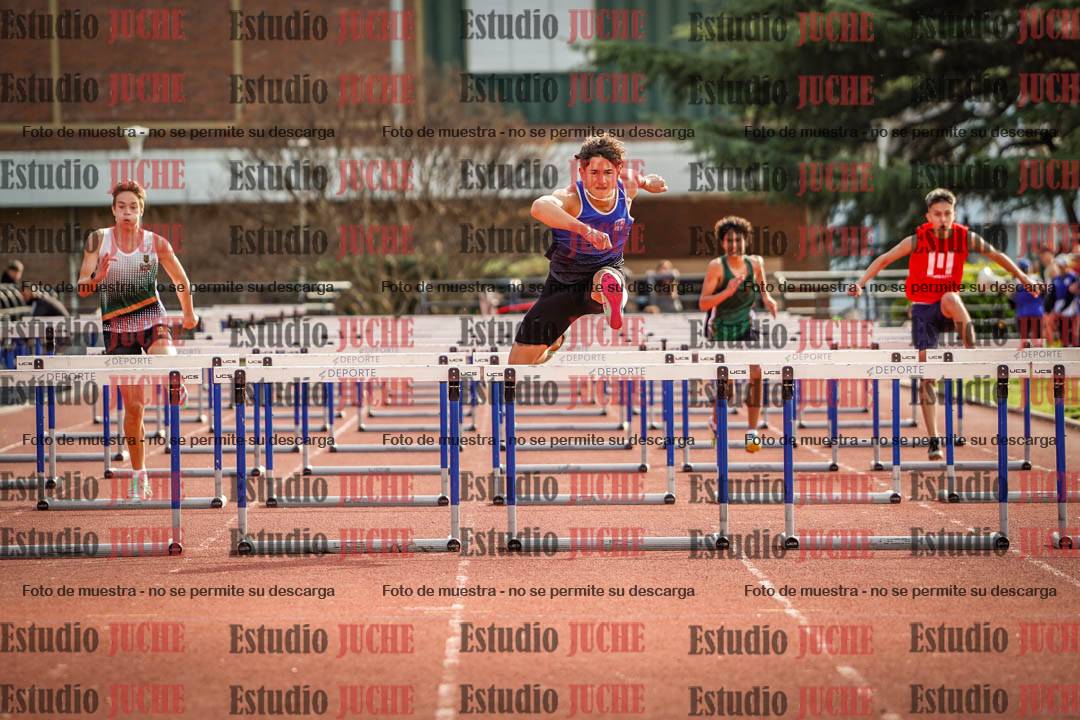 Fotos de los 110 m con vallas de varones