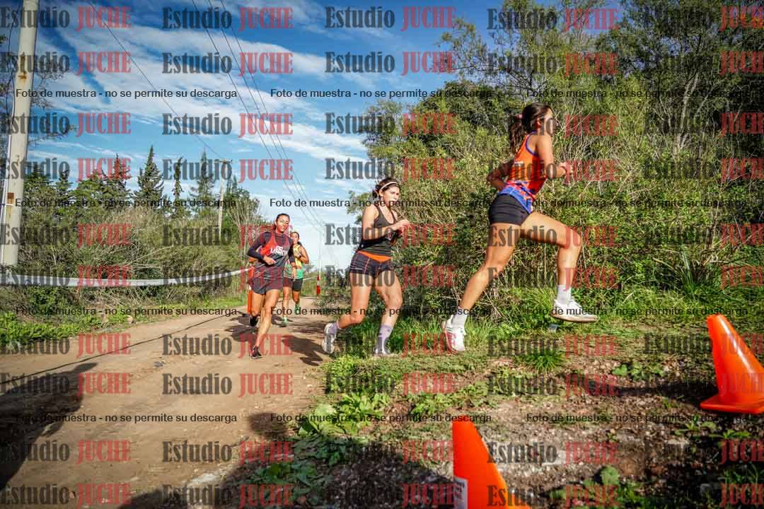 Fotos en el circuito