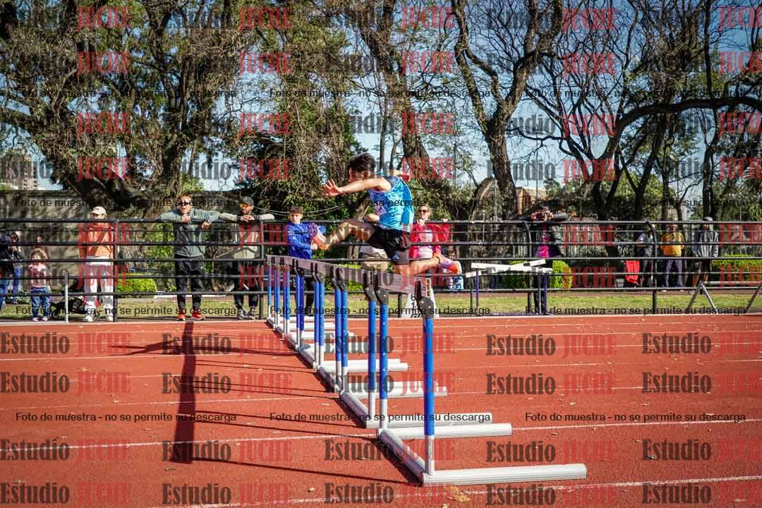 Fotos de los 110 m con vallas de varones