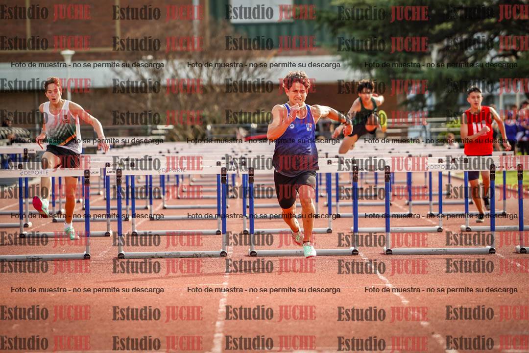 Fotos de los 110 m con vallas de varones