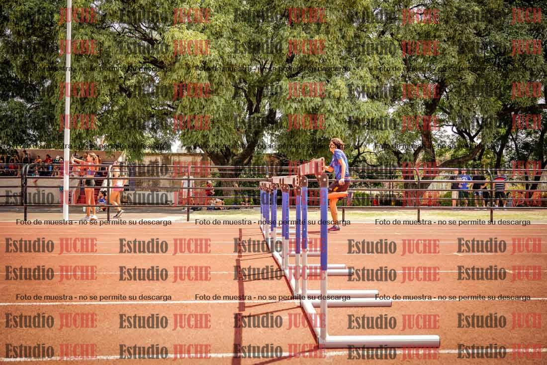 Fotos de los 110 m con vallas de varones