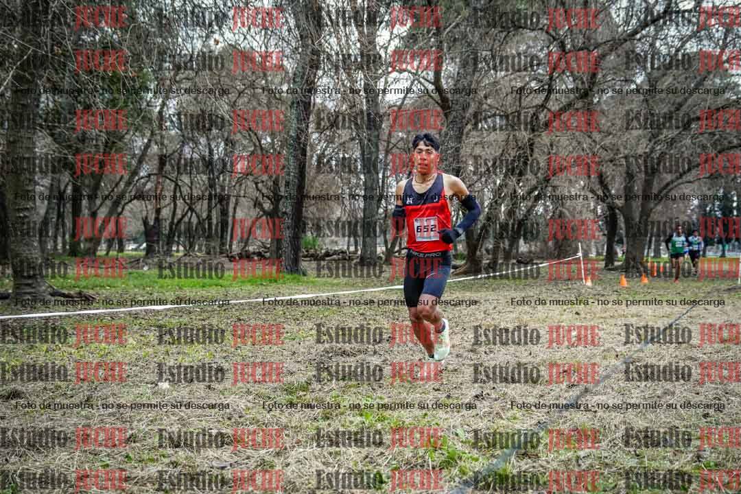Fotos en el circuito