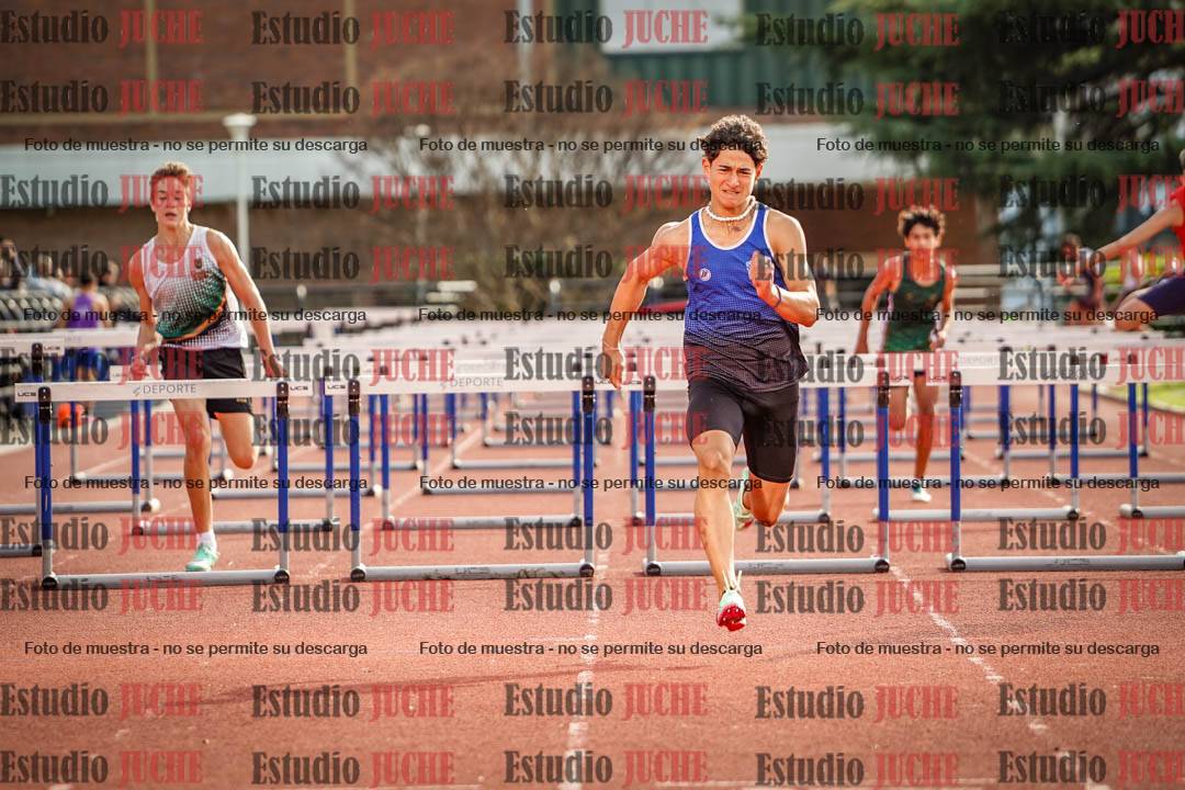 Fotos de los 110 m con vallas de varones