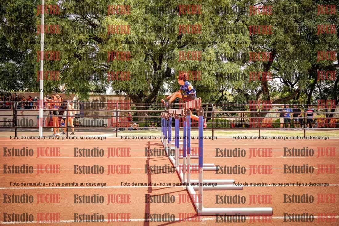 Fotos de los 110 m con vallas de varones