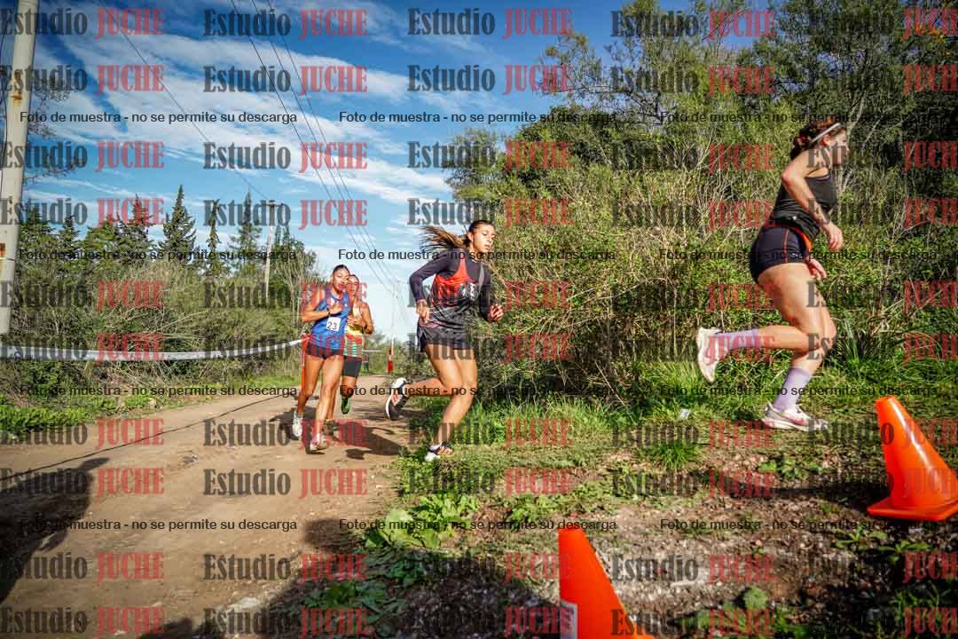 Fotos en el circuito