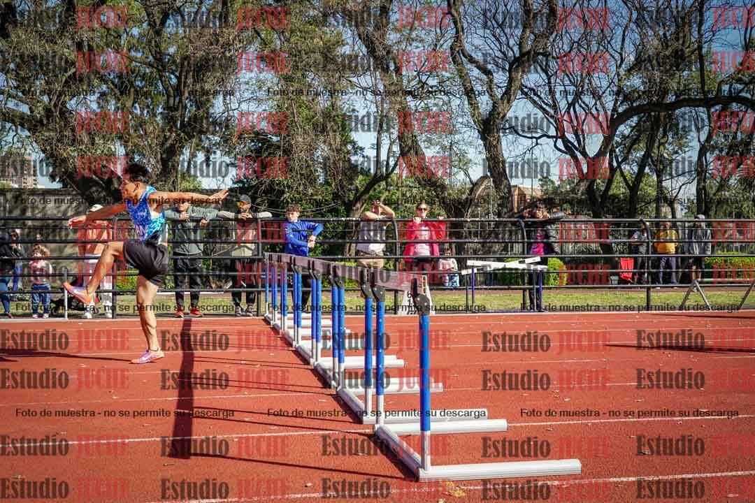Fotos de los 110 m con vallas de varones