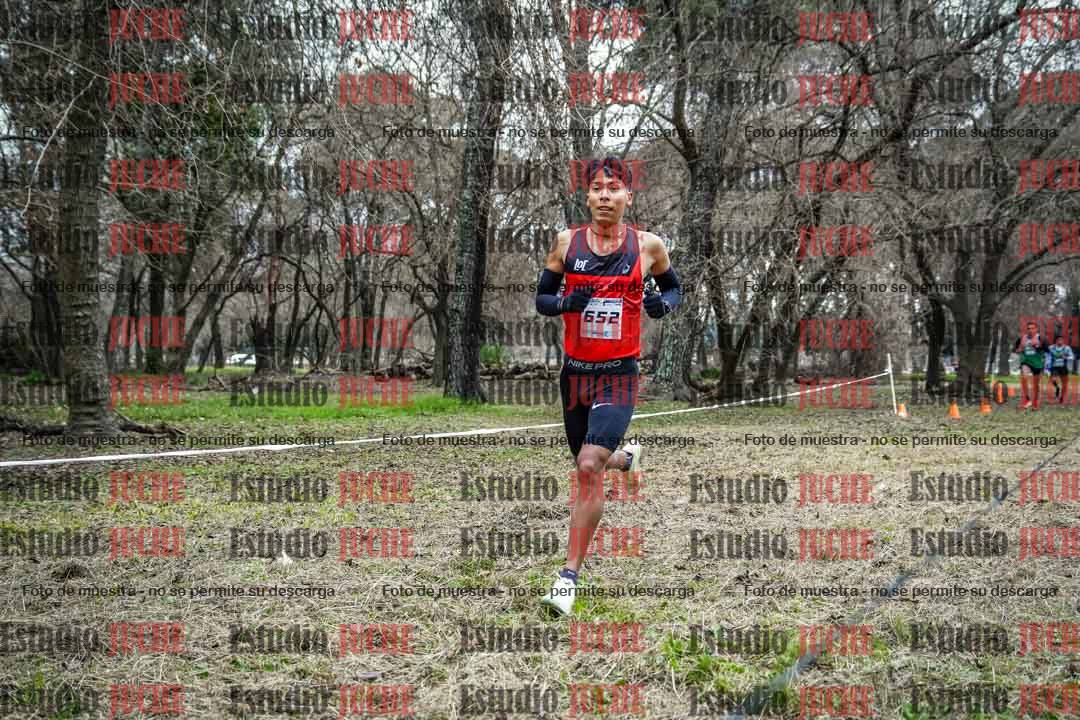 Fotos en el circuito
