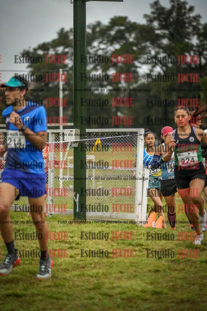 Fotos en el circuito
