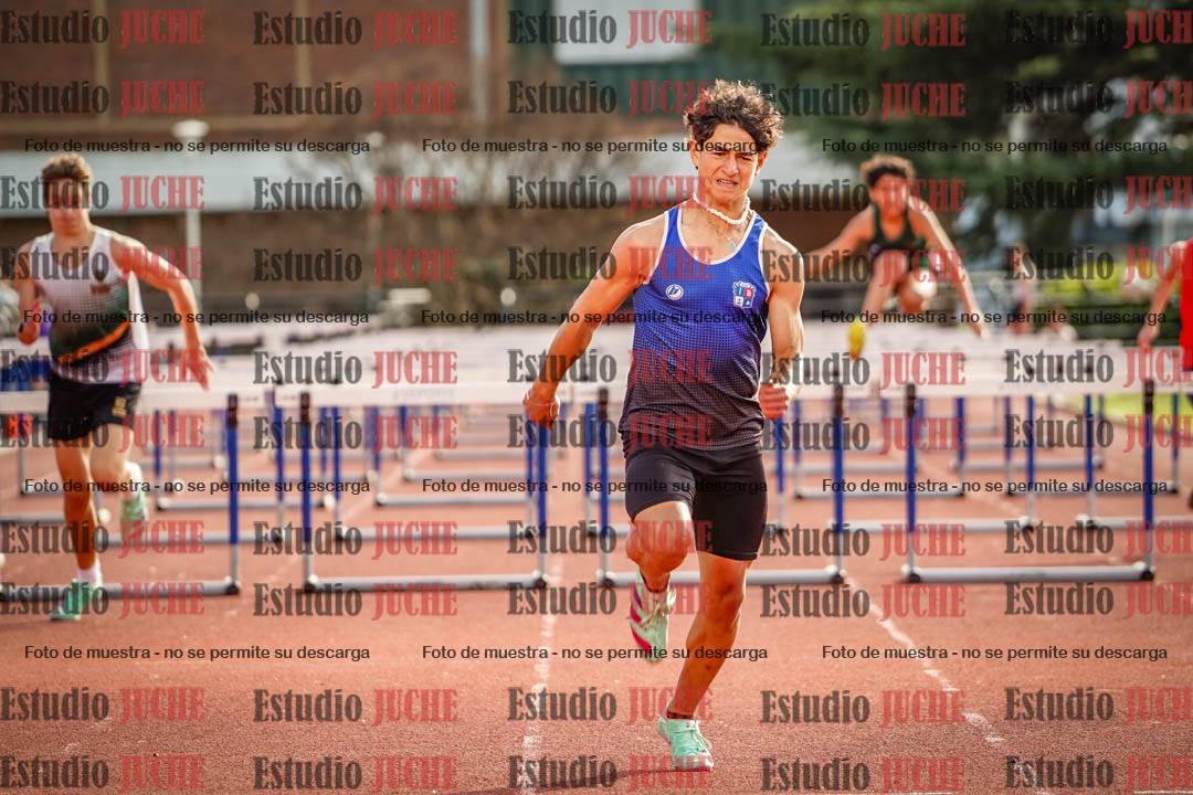 Fotos de los 110 m con vallas de varones