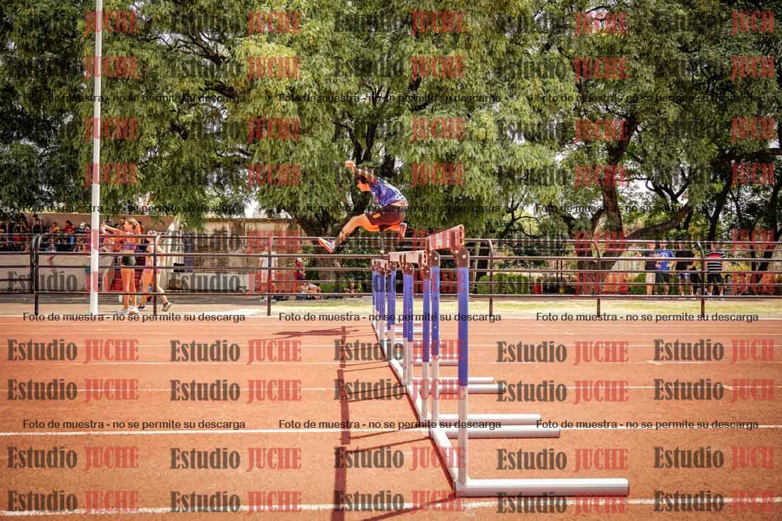 Fotos de los 110 m con vallas de varones