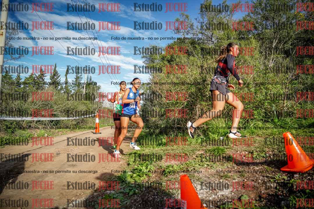 Fotos en el circuito