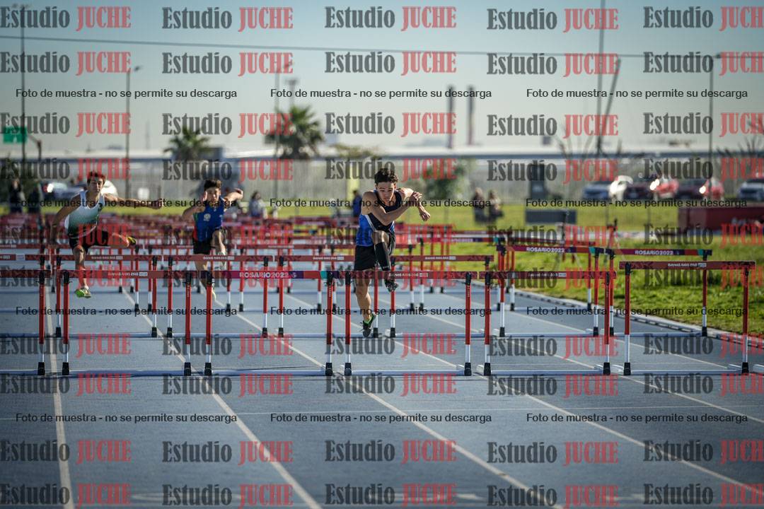 Fotos de los 110 m con vallas de varones