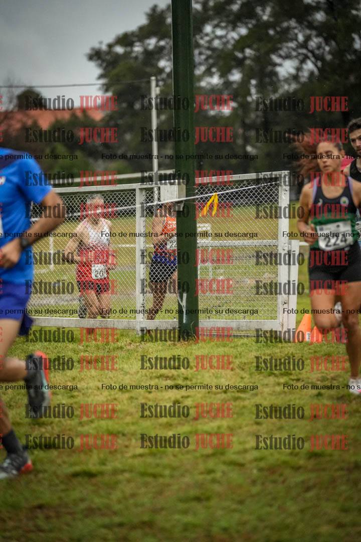 Fotos en el circuito