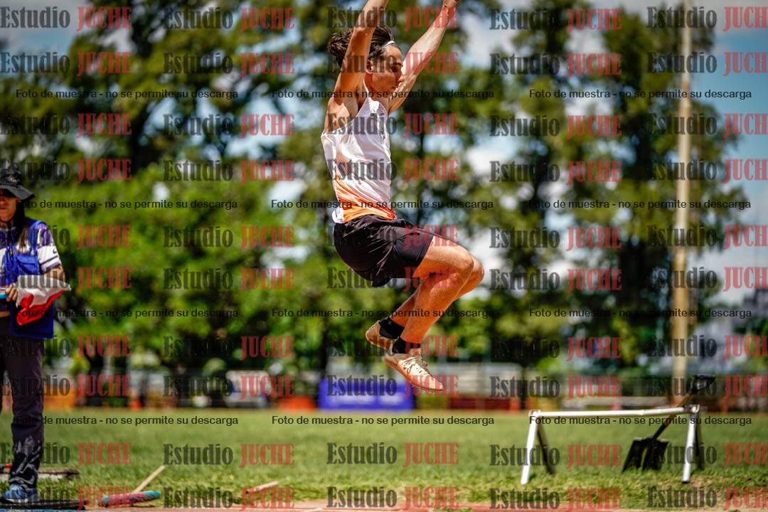 Fotos del salto en largo de varones