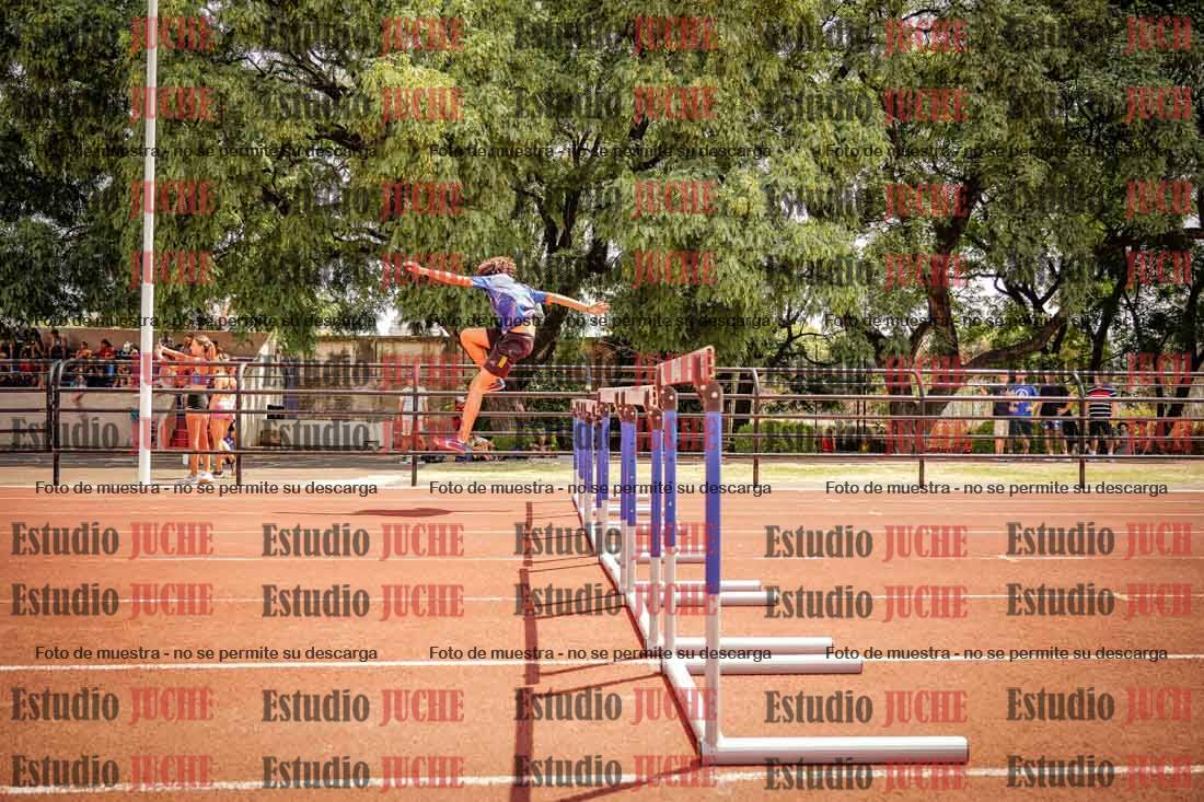 Fotos de los 110 m con vallas de varones
