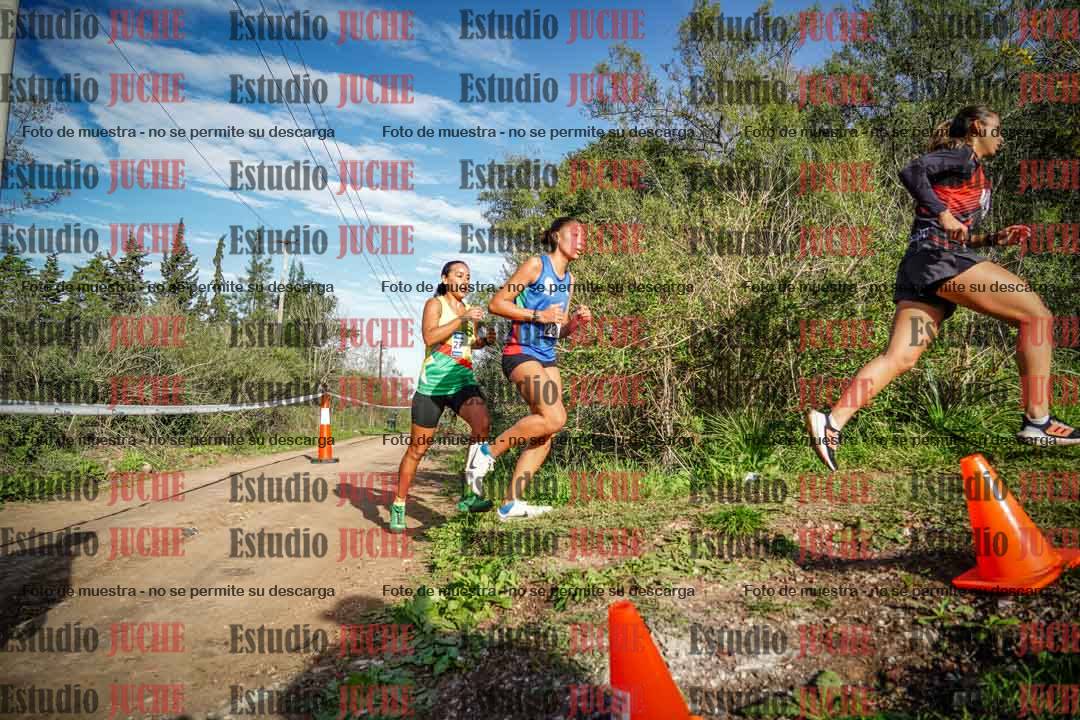 Fotos en el circuito