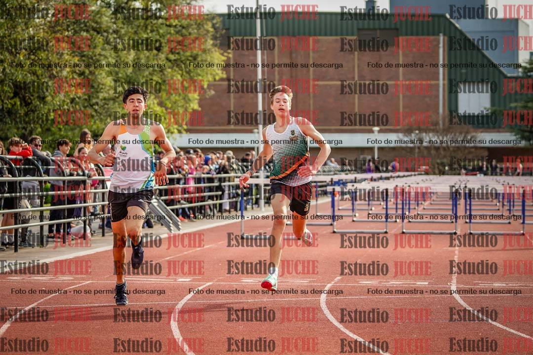 Fotos de los 110 m con vallas de varones