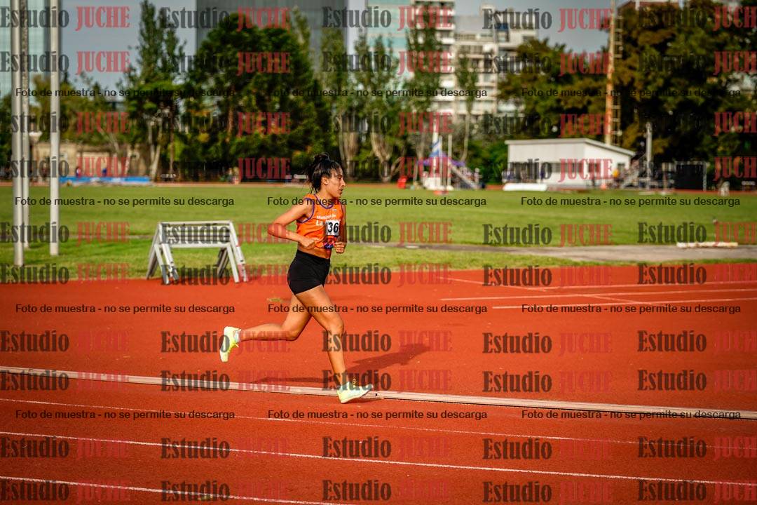 Fotos de los 3000 m llanos de mujeres