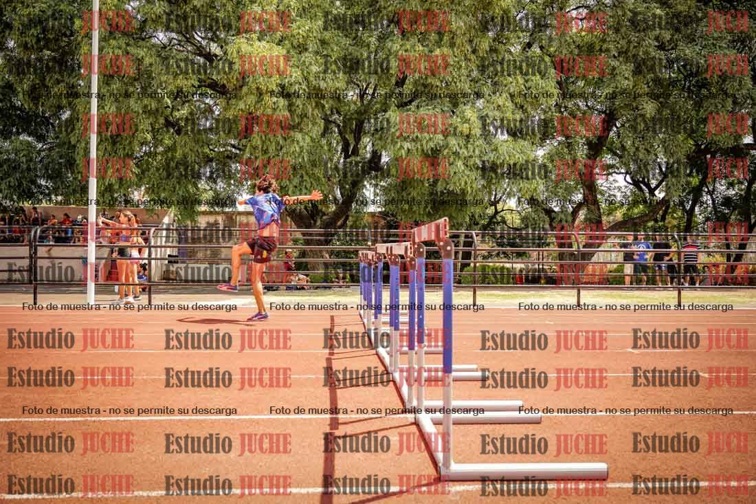 Fotos de los 110 m con vallas de varones
