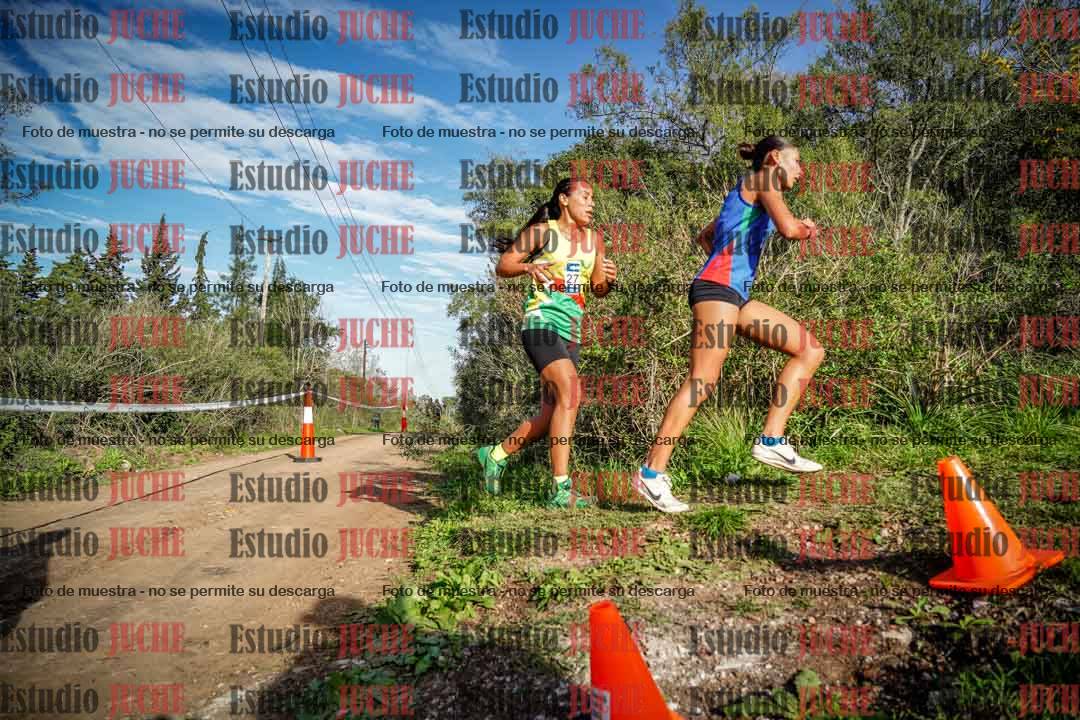 Fotos en el circuito