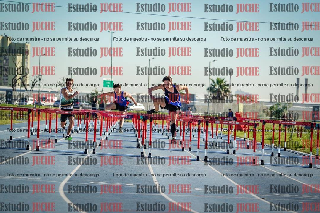 Fotos de los 110 m con vallas de varones