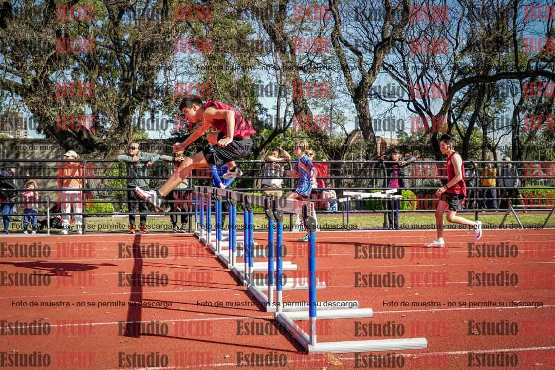 Fotos de los 110 m con vallas de varones