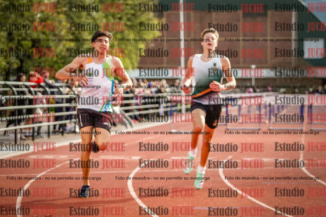 Fotos de los 110 m con vallas de varones